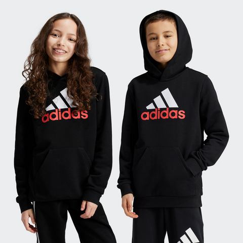 Adidas Sportswear Hoodie U BL 2 HOODIE