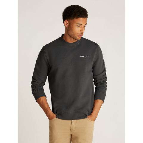 TOMMY JEANS Sweatshirt TJM REG LINEAR CREW EXT