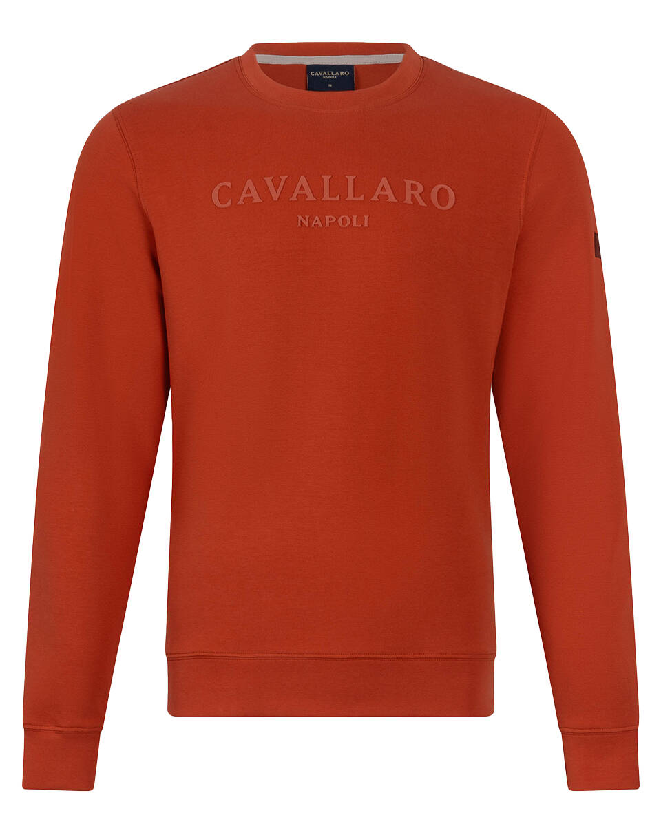 Cavallaro Sweatshirt 120251000