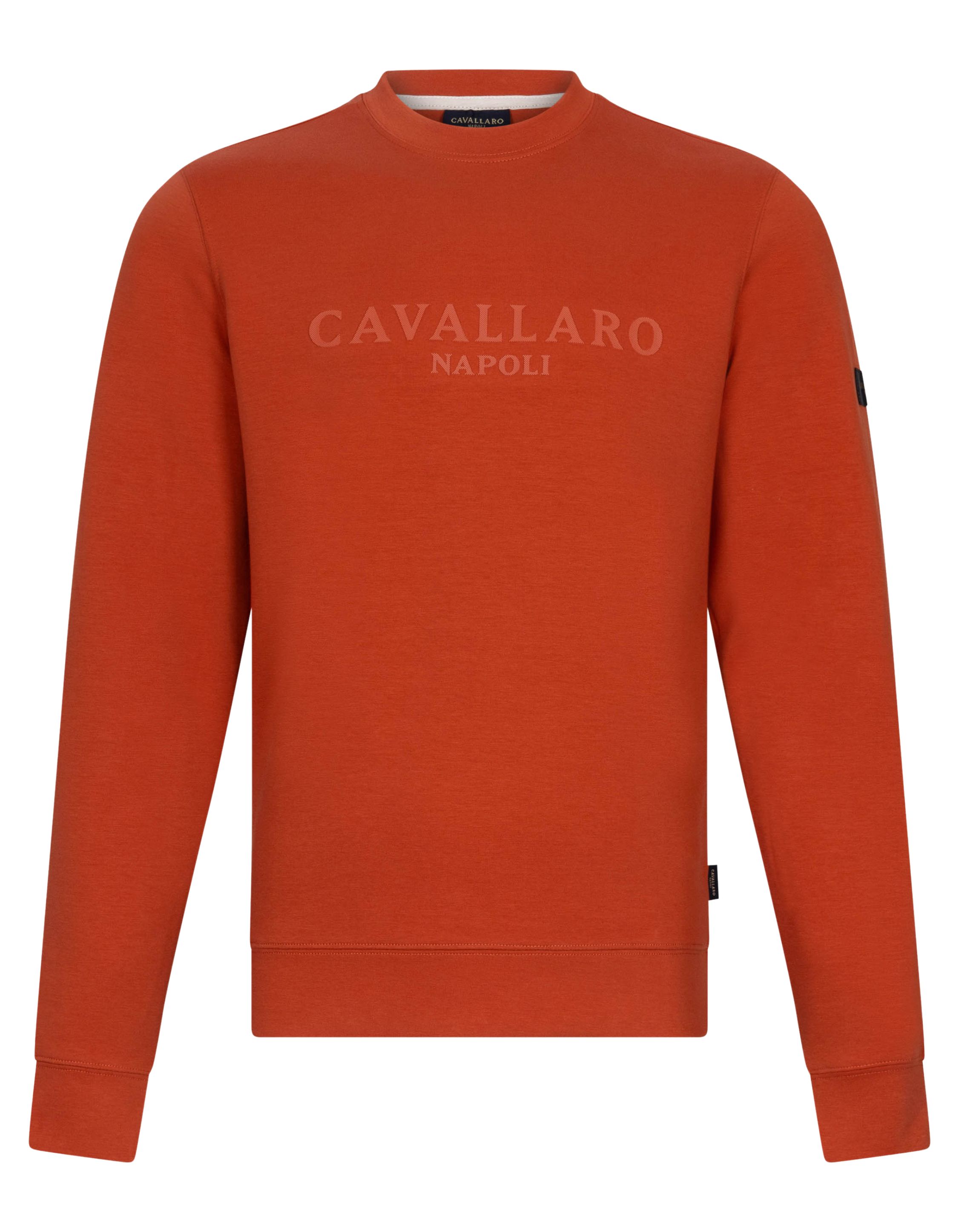 Cavallaro Celio r sweaters 120251000