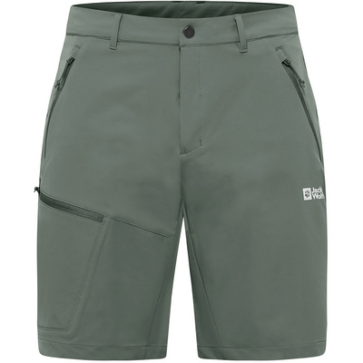 Jack Wolfskin Heren Pico Trail Korte broek