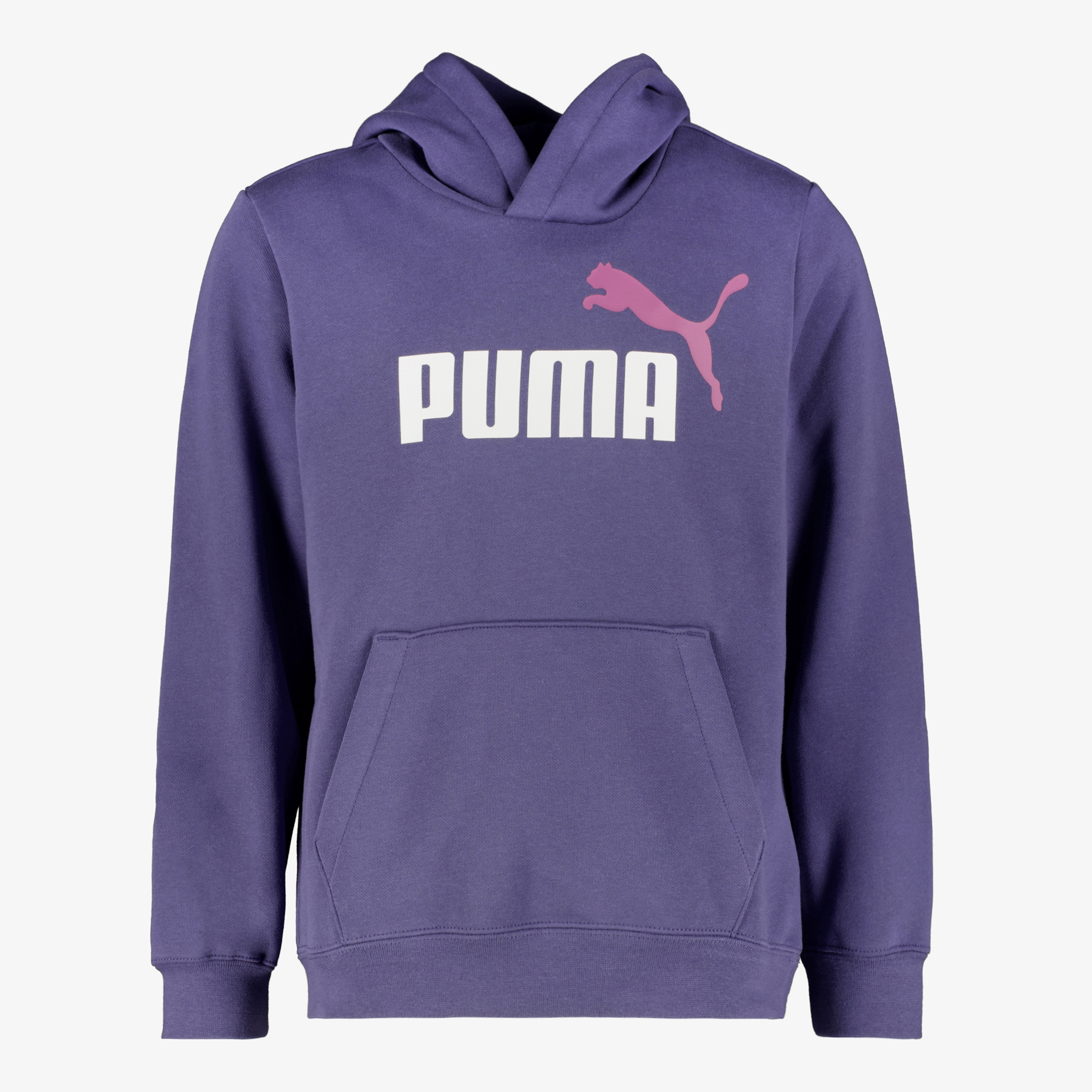 Puma ESS 2 Col Big Logo FL kinder hoodie blauw