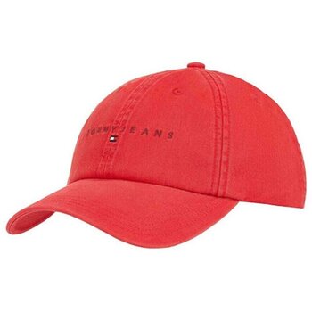 Pet Tommy Jeans AM0AM13355