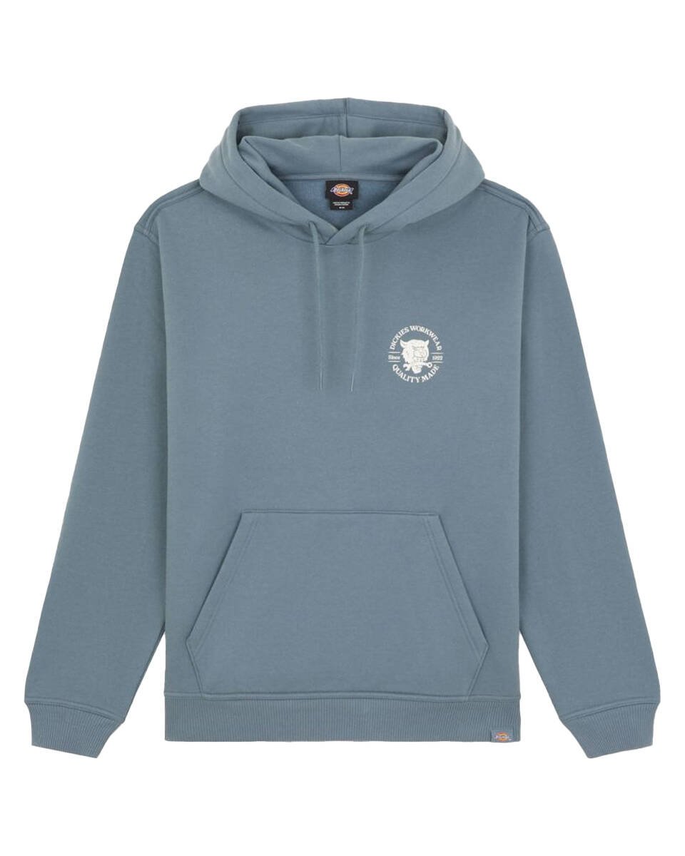 Dickies Hoodie dk0a8681g701
