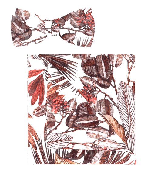 OLYMP Vlinderdas / pochet set, Baksteenrood