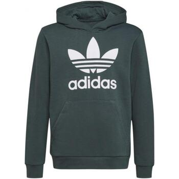 Sweater adidas h0270_trafoil_hoodie_verde