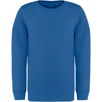 Sweater Native Spirit Sweatshirt écoresponsable à col rond enfant
