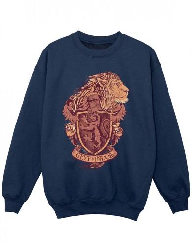 Harry Potter Girls Griffoendor Sketch Crest Sweatshirt 5-6 Years wit