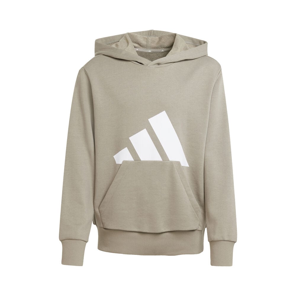 Adidas Sportswear Hoodie J BL FT HD 280
