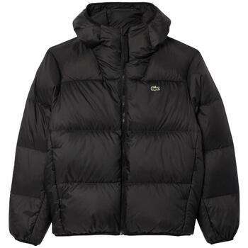 Lacoste Blazer  -