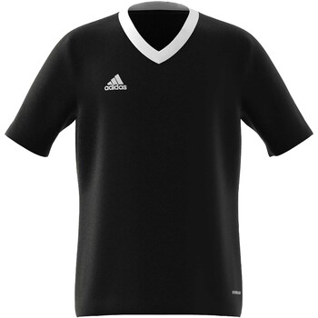 Adidas T-shirt  -