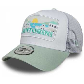 New-Era Pet  Ne summer trucker newera
