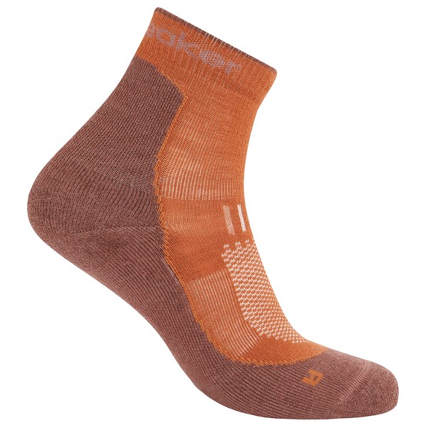 Icebreaker  Merino Hike+ Light Mini - Wandelsokken, bruin