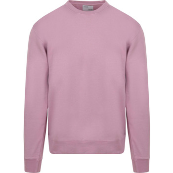 Colorful Standard Sweater  Sweater Paars