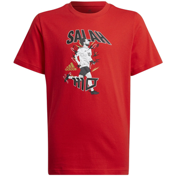 Adidas T-shirt  -