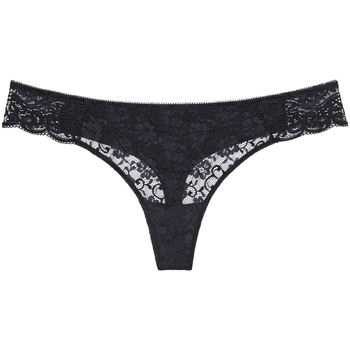 Triumph Strings  AMOURETTE String