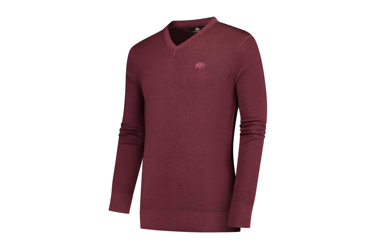Circle of Gentlemen Andrew 100% merino v-neck pullover