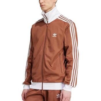 Adidas Blazer  -