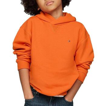 Tommy Hilfiger Sweater  -