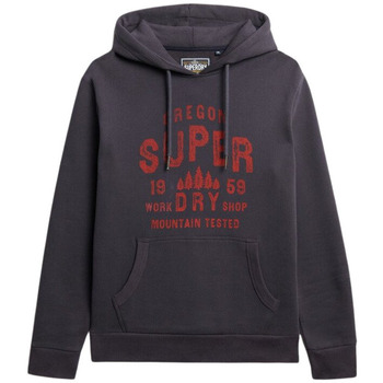 Superdry Sweater  Sweatshirt à capuche Work Shop