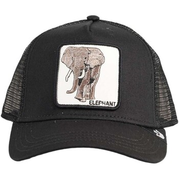 Goorin Bros Pet  -