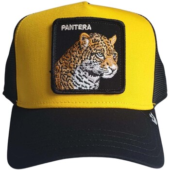 Goorin Bros Pet  -