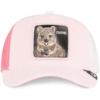 Goorin Bros Pet  -