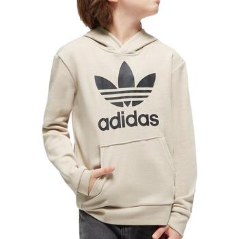 Adidas Sweater  -