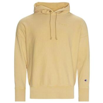 Champion Sweater  -