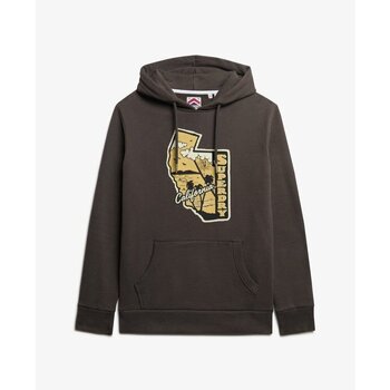 Superdry Sweater  Sweatshirt à capuche Vintage Travel