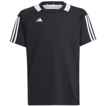 Adidas T-shirt  -