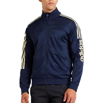 Adidas Blazer  -