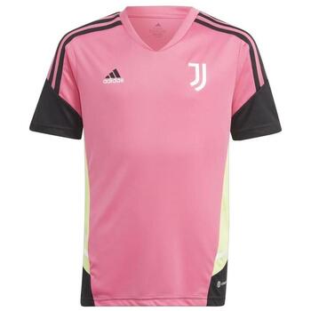 Adidas T-shirt  -