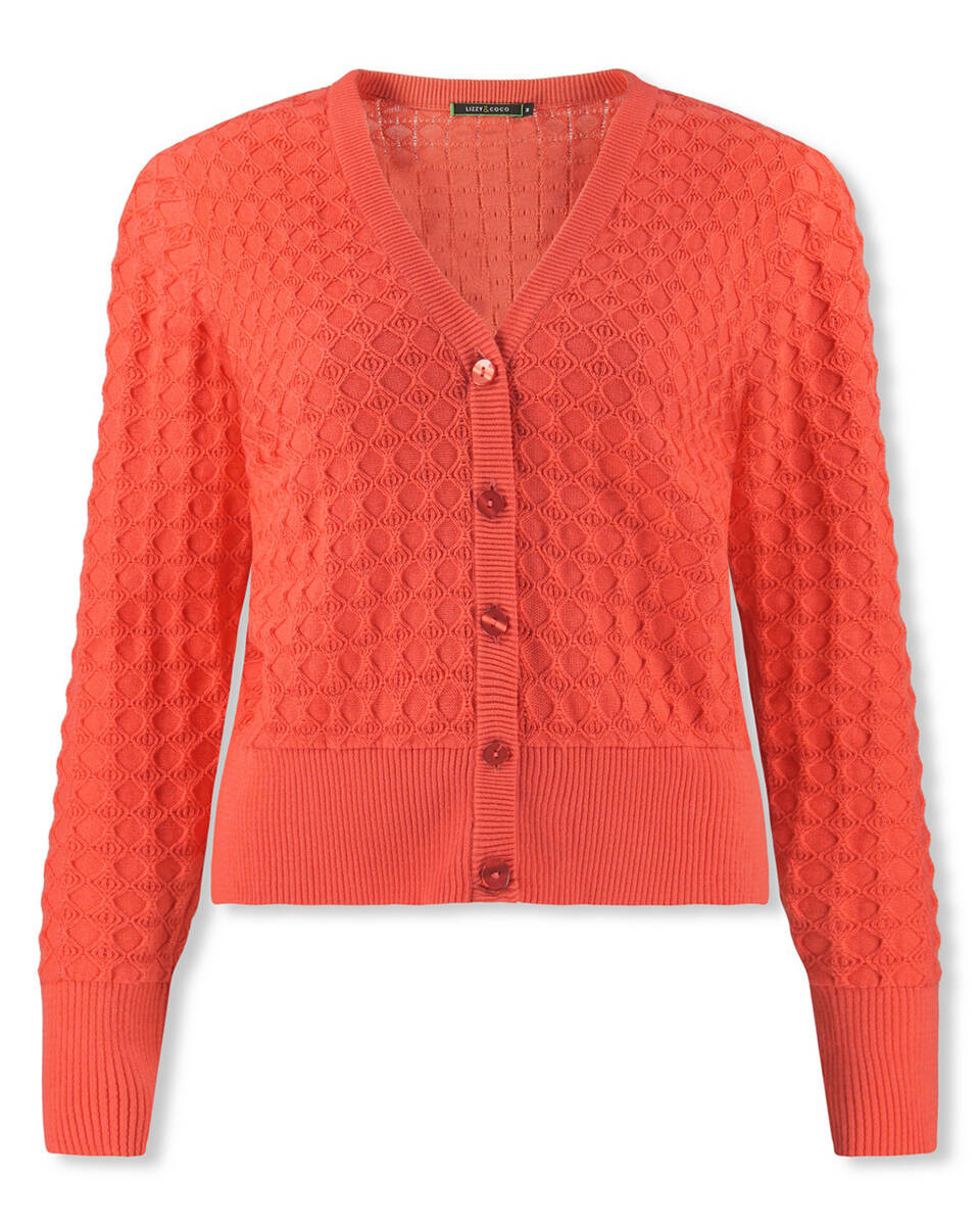 Lizzy & Coco Vest ezzi