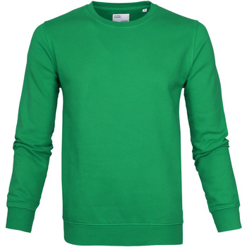 Colorful Standard Sweater  Sweater Kelly Green