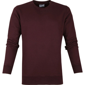 Colorful Standard Sweater  Sweater Organic Bordeaux
