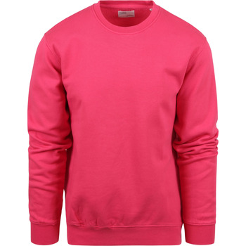 Colorful Standard Sweater  Sweater Donker Roze