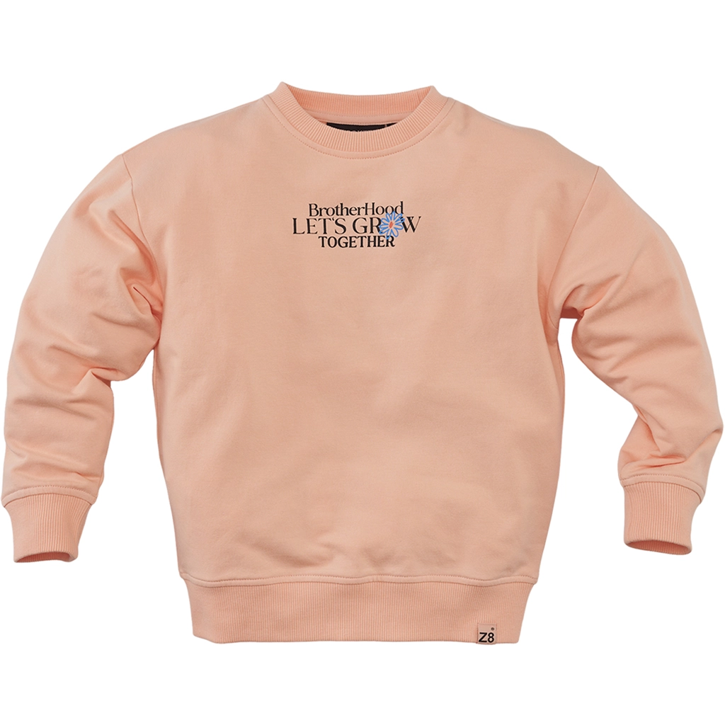 Z8-collectie Trui sweater Adrean (peach fuzz)