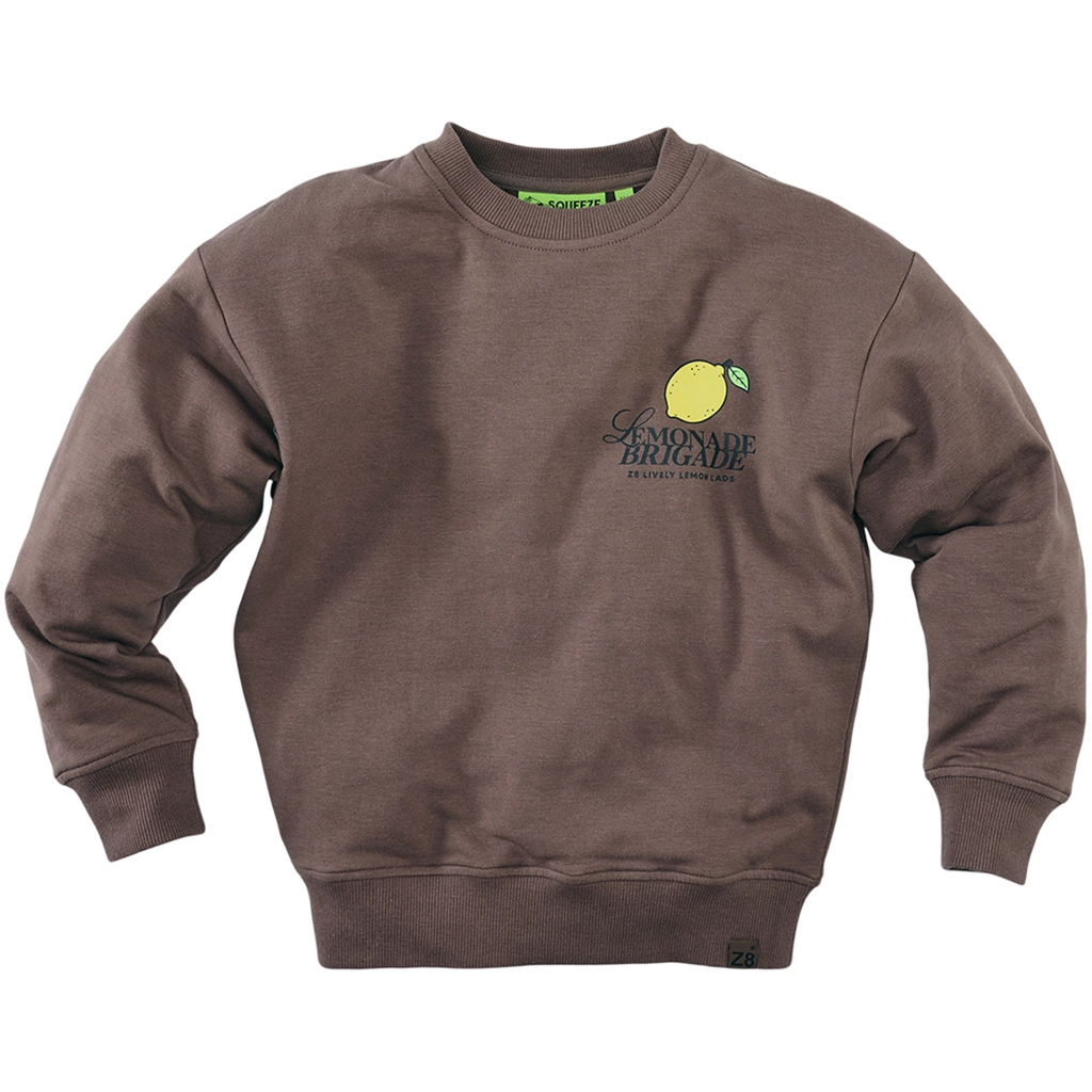Z8-collectie Trui sweater Marcelo (crazy coconut)