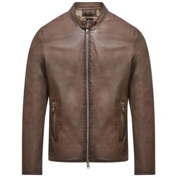 Bomboogie Blazer  JMROKE P LBS5-10 BROWN