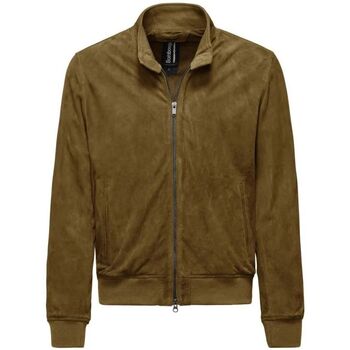 Bomboogie Blazer  JMFRIZ P GTS-135 HONEY
