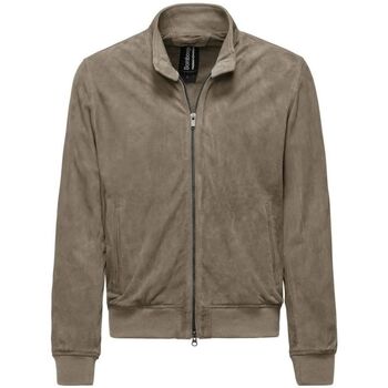 Bomboogie Blazer  JMFRIZ PGTS5-16 MASTIC