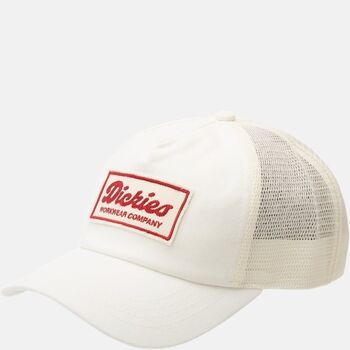 Dickies Hoed  LEWISTOWN - DK0A4Z6M-C481 EGRET