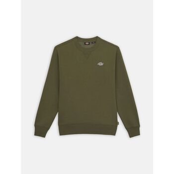 Dickies Sweater  SUMMERDALE SWEATSHIRT - DK0A4Y6Q-MGR1 MILITARY GREEN
