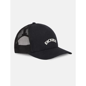 Dickies Hoed  SHAWSVILLE - DK0A4YPGBLK1-BLACK