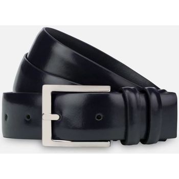 Fabrizio Mancini Riem  0001 ALPV - DARIO-BLU