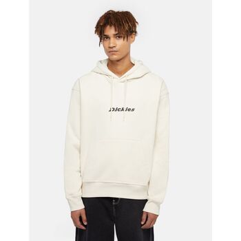 Dickies Sweater  ENTERPRISE HD - DK0A4Z2N-F90 WHITECAP GRAY