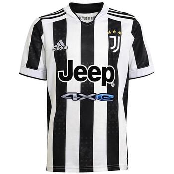 Adidas T-shirt  -