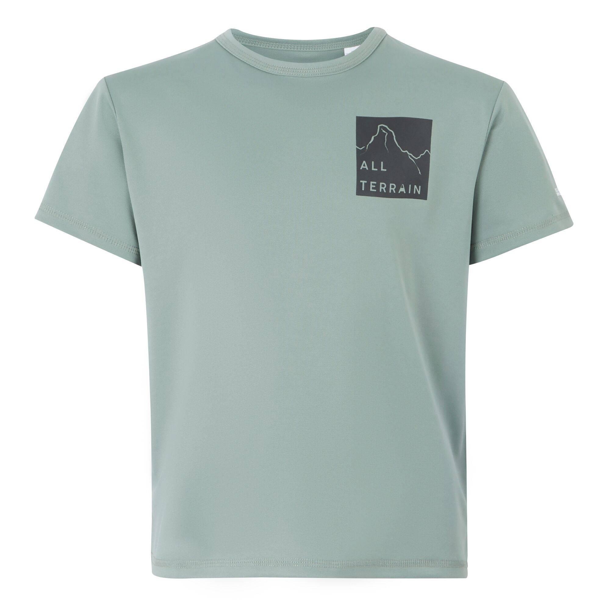 Regatta Kinderen/kinderen alvarado ix berg t-shirt