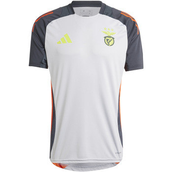 Adidas Onderhemden  Maillot d'entraînement Benfica Lisbonne Tiro 2024/25